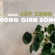 Tạo ra một vườn cây xanh trong không gian sống